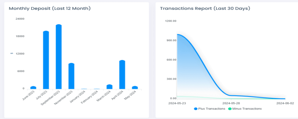 SMM Lab dashboard displaying detailed analytics and reporting for social media marketing performance